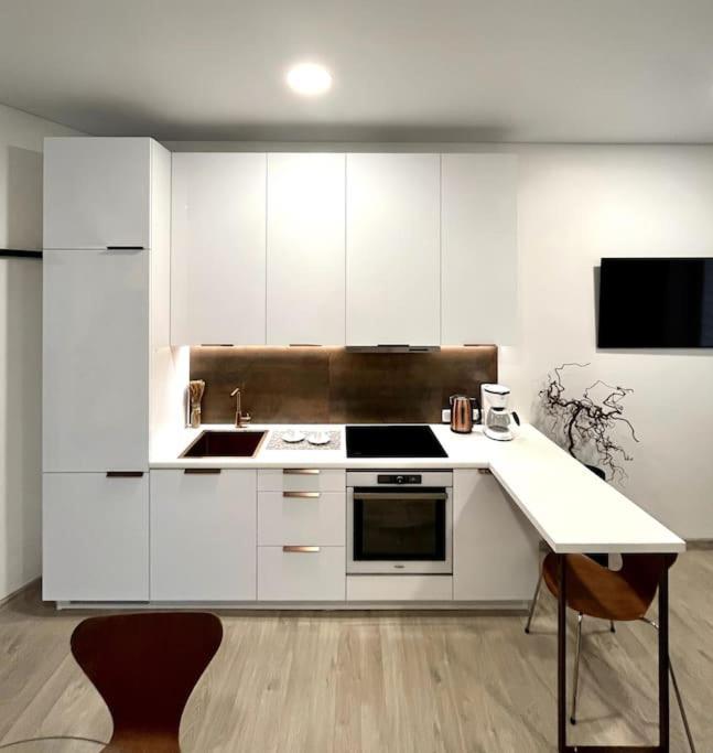 Kaunas Old Town Apartment Εξωτερικό φωτογραφία